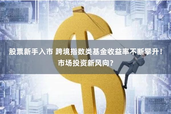 股票新手入市 跨境指数类基金收益率不断攀升！市场投资新风向？