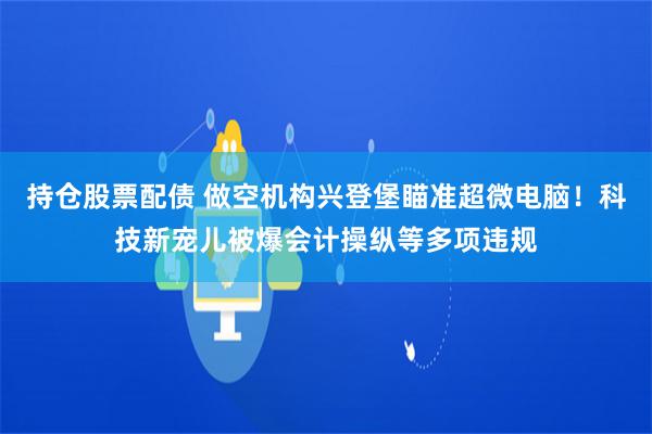 持仓股票配债 做空机构兴登堡瞄准超微电脑！科技新宠儿被爆会计操纵等多项违规