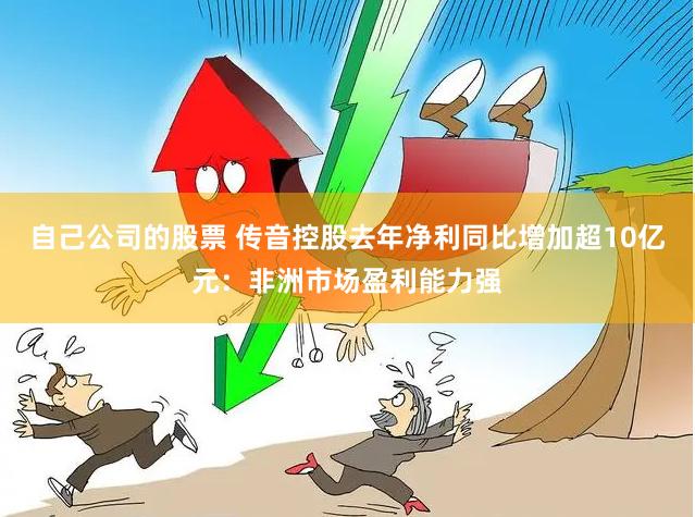 自己公司的股票 传音控股去年净利同比增加超10亿元：非洲市场盈利能力强