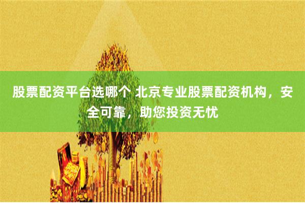 股票配资平台选哪个 北京专业股票配资机构，安全可靠，助您投资无忧