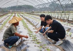 <strong>他至多每个月带队</strong>