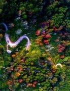 <b>代经济取外贸由此而兴</b>