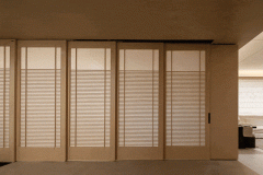 兔宝宝已建立起面